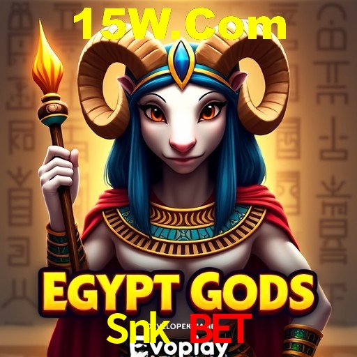 A Experiência Imersiva dos Cassinos Ao Vivo no Snk Bet