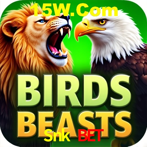 Explorando a Categoria de Eventos em Apostas na Snk Bet