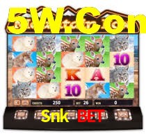 Snk Bet,Snkbet.Com
