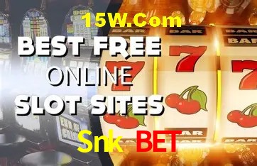 Security Systems Snk Bet
